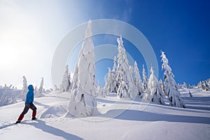 Mountain Hiking in the Winter