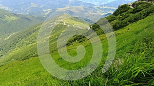 Mountain hills with green grass waving