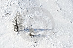 Mountain Hillside in the Winter