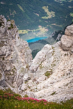 Mountain Hochobir with red flowers, valley Rosental, lake Freibach Stausee