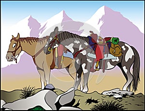 Mountain horses