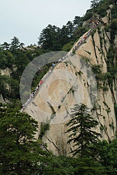 Mountain Hua