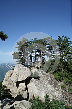Mountain Huashan Landscape Mushroom Stone