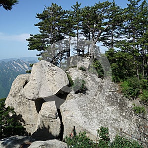 Mountain Huashan Landscape Mushroom Stone