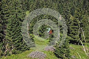 Mountain hut in coniferous forest, Low Tatras, Slovakia