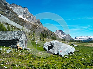 mountain hut landscape view in the spectacular angles of the devero alp on a sunny day, Lepontine Alps, summer mountain landscape