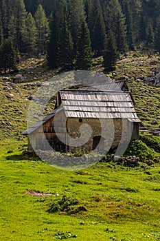 Mountain hut on mountain pasture Laz
