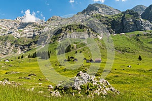 Mountain huts and pastures in the Swiss Alps with view of Mount Saentis, Canton Appenzell Ausserrhoden, Switzerland