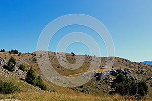 Mountain karst with a some grass and some trees. Bjelasnica Mountain photo