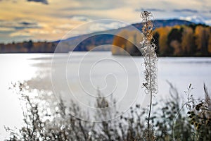 Mountain lake on a background of mountains