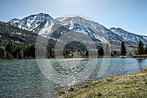 Mountain lake beaver dam in Rocky Mountain National park