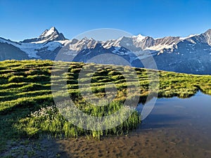 mountain lake in the bernese oberland. Bachsee near Grindelwald and Interlaken. Beautiful sunrise mood. Bachsee