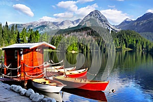 Mountain Lake Boats