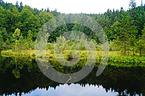 Mountain lake with cold dark water surrounded by green forest under a blue sky