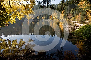 Mountain lake and colorful trees during autumn fall season