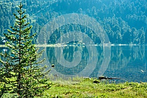 Mountain lake and coniferous forest on the opposite shore