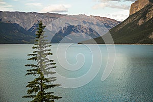 Mountain lake - coniferous forest - pine trees, scenic blue lake, cloudy sky and Rocky Mountains on horizon background.