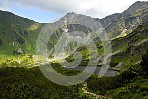 Mountain Lake and Dwarf Pine