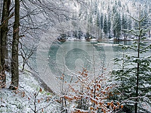 Mountain lake with forest on shore covered with snow