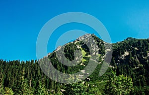 Mountain lake and green forest picturesque scenery. High rocks. Beautiful landscape