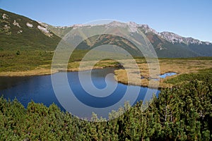Mountain lake in high tatras summer landscape