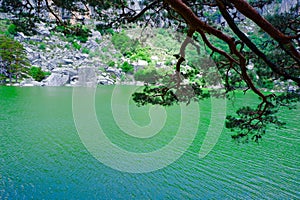 Mountain lake Laguna Negra in Vinuesa, Soria, Spain. Forest landscape during day time