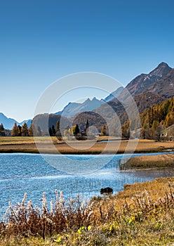Mountain and lake landscape with idyllic alpine village in colorful golden fall colors