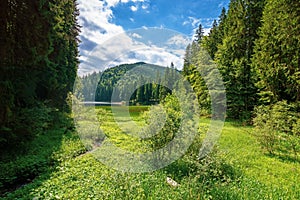 mountain lake landscape in summer