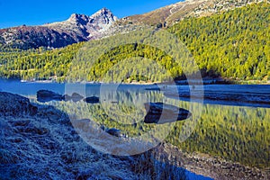 Mountain lake panorama with mountains reflection. Idyllic look. Autumn forest. Silvaplana Lake,