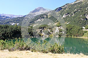 Mountain Lake in Pirin