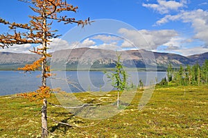 Mountain lake on the Putorana plateau.