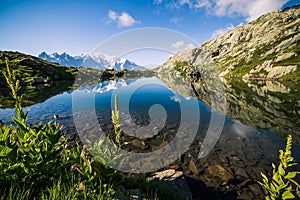 Mountain Lake Reflecting Iconic Mont-Blanc Snowy Peaks on a Sunny Day