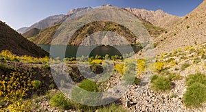 Mountain lake among rocky hills with wild green and yellow bushes