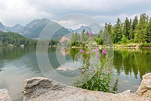 Mountain lake Strbske Pleso