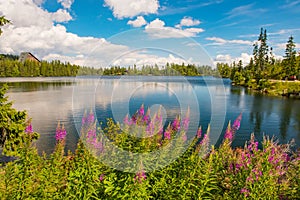 Mountain lake Strbske pleso National Park High Tatras, Slovakia