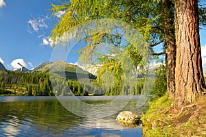 Horské jezero Štrbské pleso - Slovensko, Evropa