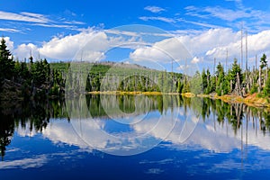 Mountain lake during summer day, devastated forest Bavarian Forest National Park. Beautiful landscape with blue sky and clouds, Ge