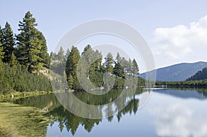 Montagna Circondato secondo pino un nani un loro riflessi acqua 