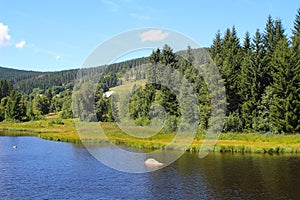 Mountain lake with surrounding forest, Black Forest, Germany