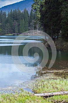 Mountain lake Synevyr