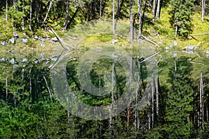 Mountain lake with tree reflections in the water