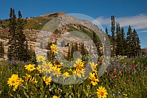 Mountain Landscape