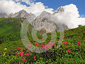 Mountain landscape