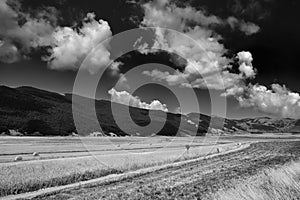 Mountain landscape in Abruzzi at summer photo