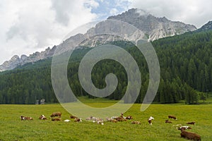 Mountain landscape along the road to Passo Tre Croci, Dolomites, Veneto, Italy