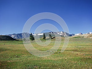 Mountain landscape. The Altai Mountains