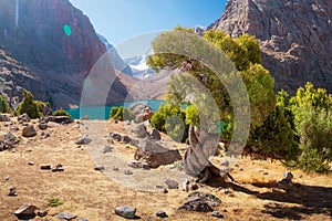 Mountain landscape with archa tree on shore of blue lake Greater Allo in Fann mountains on sunny bright summer day