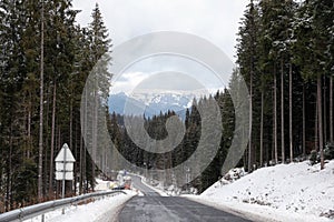 Mountain landscape with asphalt road and forest