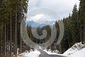 Mountain landscape with asphalt road and forest after snow storm