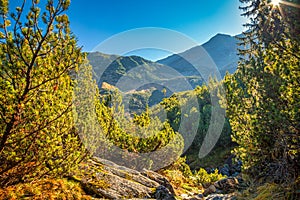 Mountain landscape at autumn, the area of Rohace in Tatras